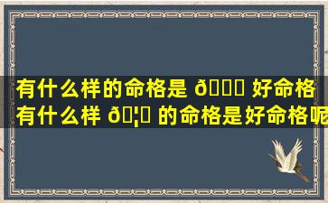 有什么样的命格是 🐎 好命格「有什么样 🦈 的命格是好命格呢」